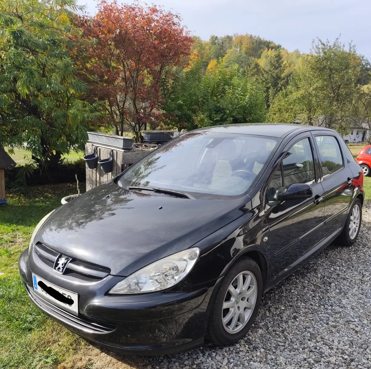 Peugeot 307