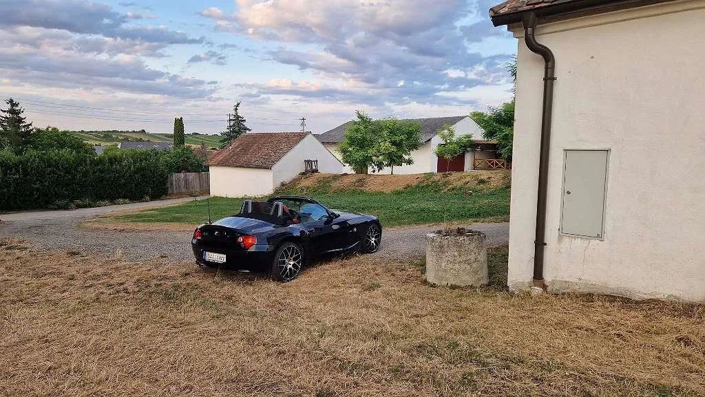 BMW Z4 2004 photo 2