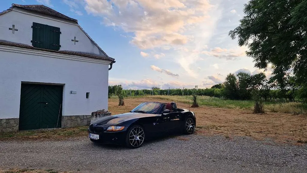 BMW Z4 2004 photo 3