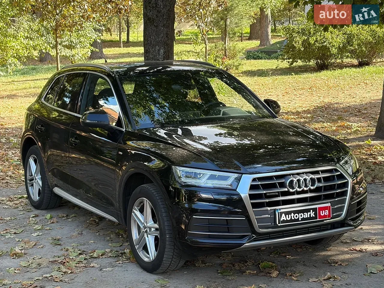Audi Q5 2020 photo 3