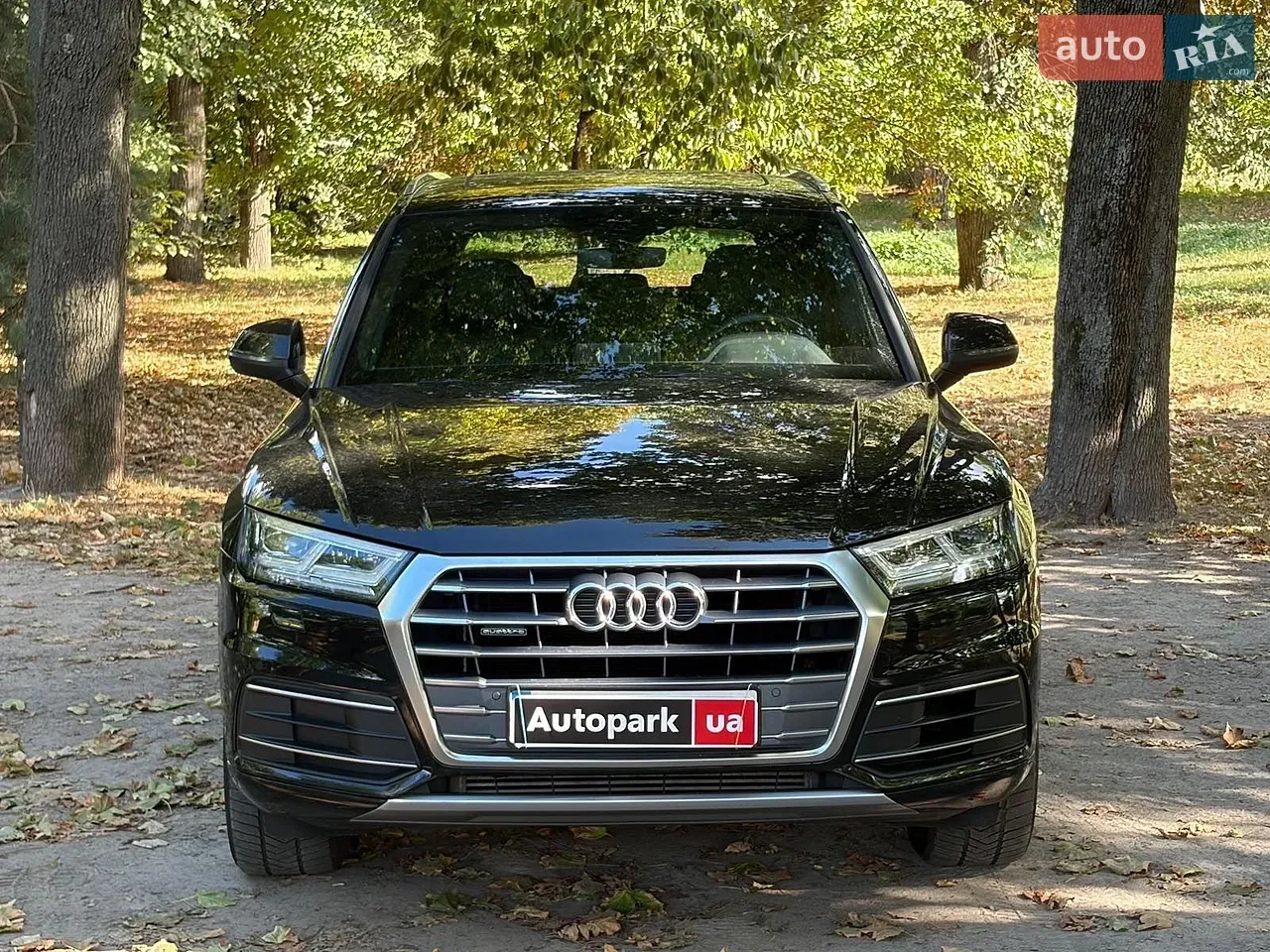 Audi Q5 2020 photo 2