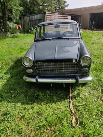 Fiat 1100D
