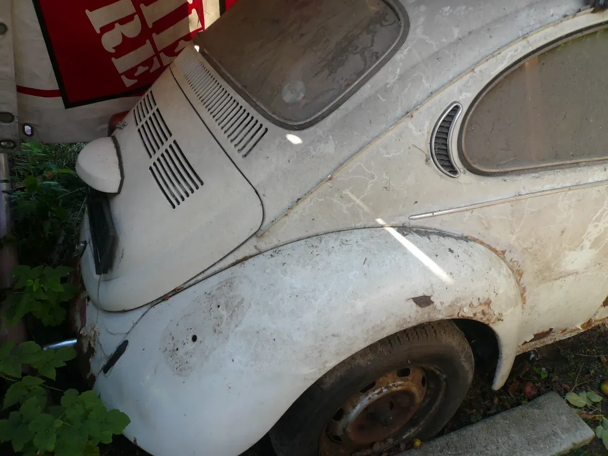 Volkswagen Käfer