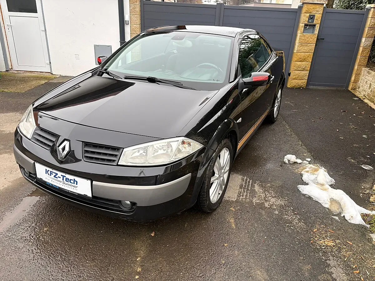 Renault Mégane 2003 photo 2
