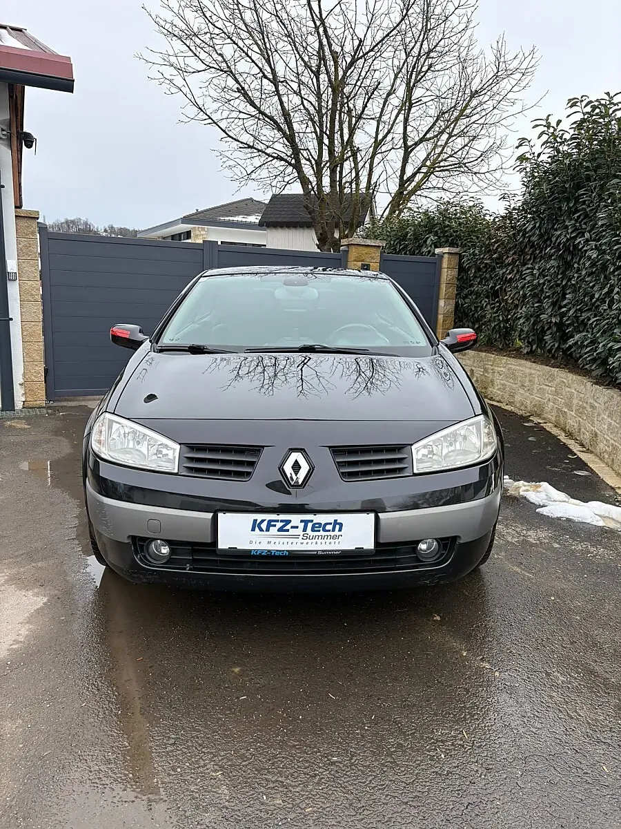 Renault Mégane 2003 photo 3