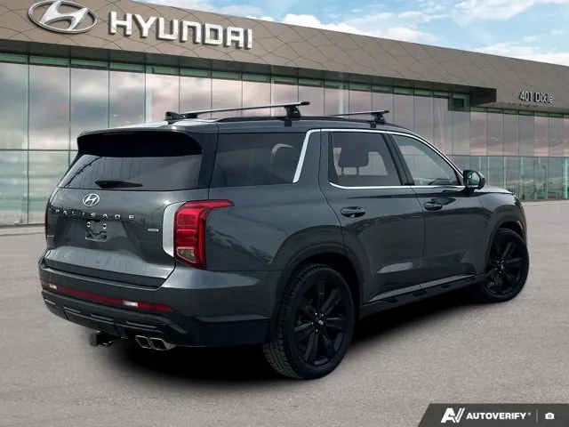 Hyundai Palisade 2024 photo 5