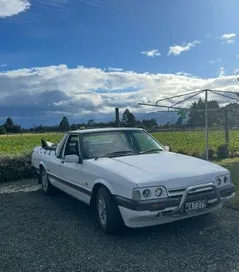 Ford Falcon 1994 photo 2