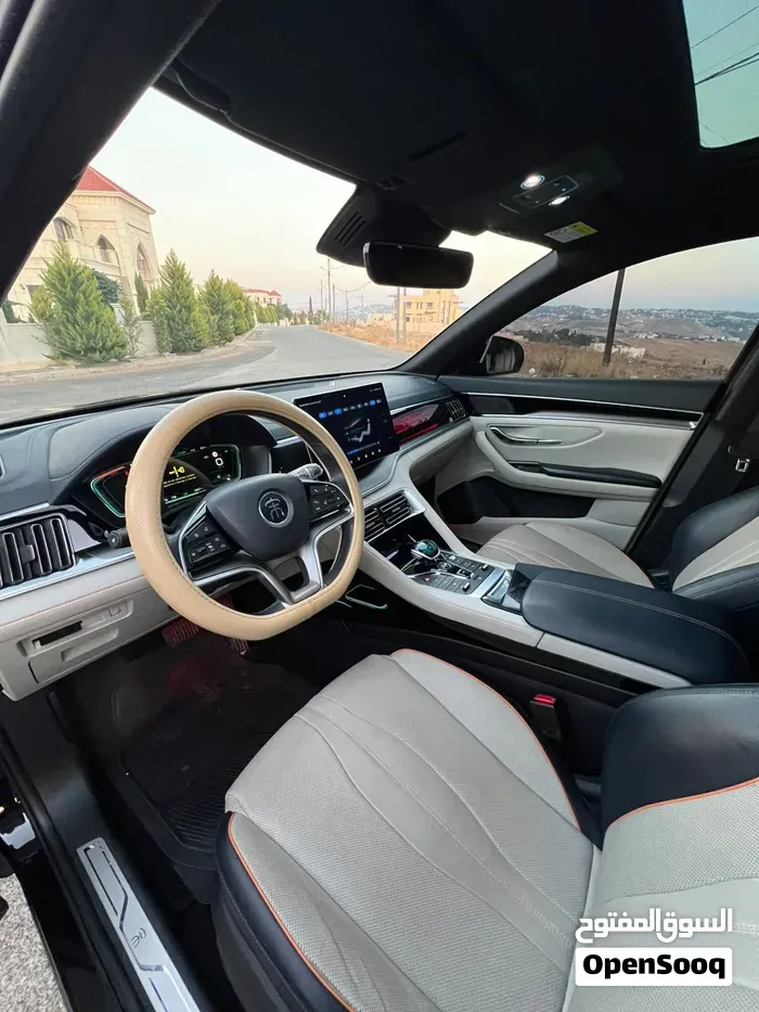 BYD Song Plus 2023 photo 4