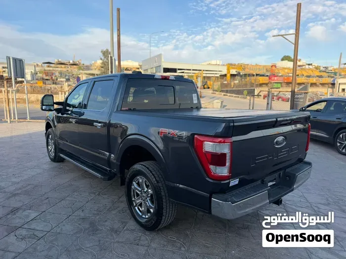 Ford F-150 2021 photo 3