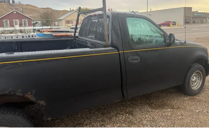 Ford F-150 1999 photo 3