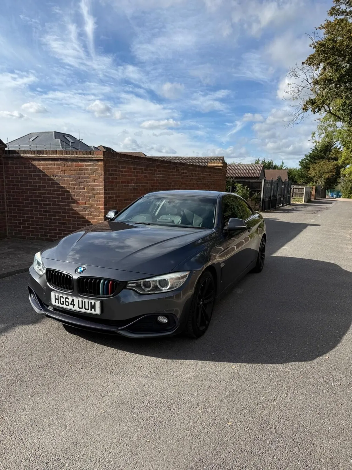 BMW 4 Series 2014 photo 5