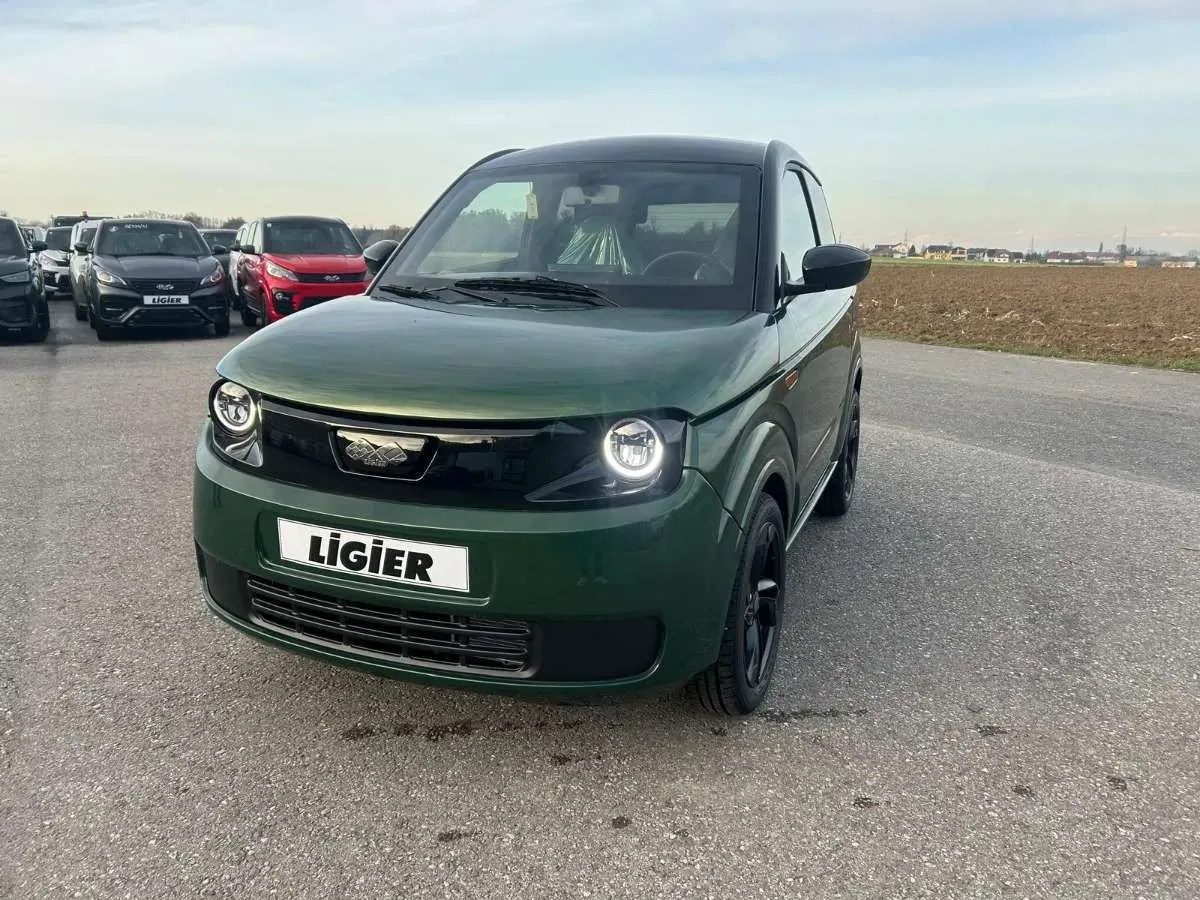Ligier Sonstige