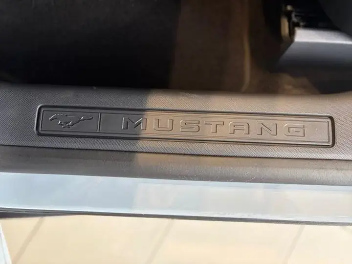 Ford Mustang Mach-E 2026 photo 4