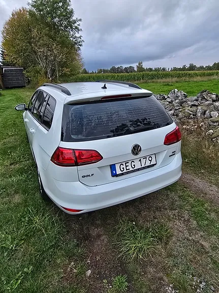 Volkswagen Golf Vii 2014 photo 4