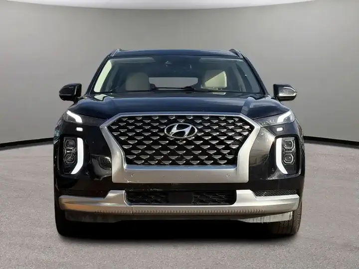 Hyundai Palisade 2021 photo 2