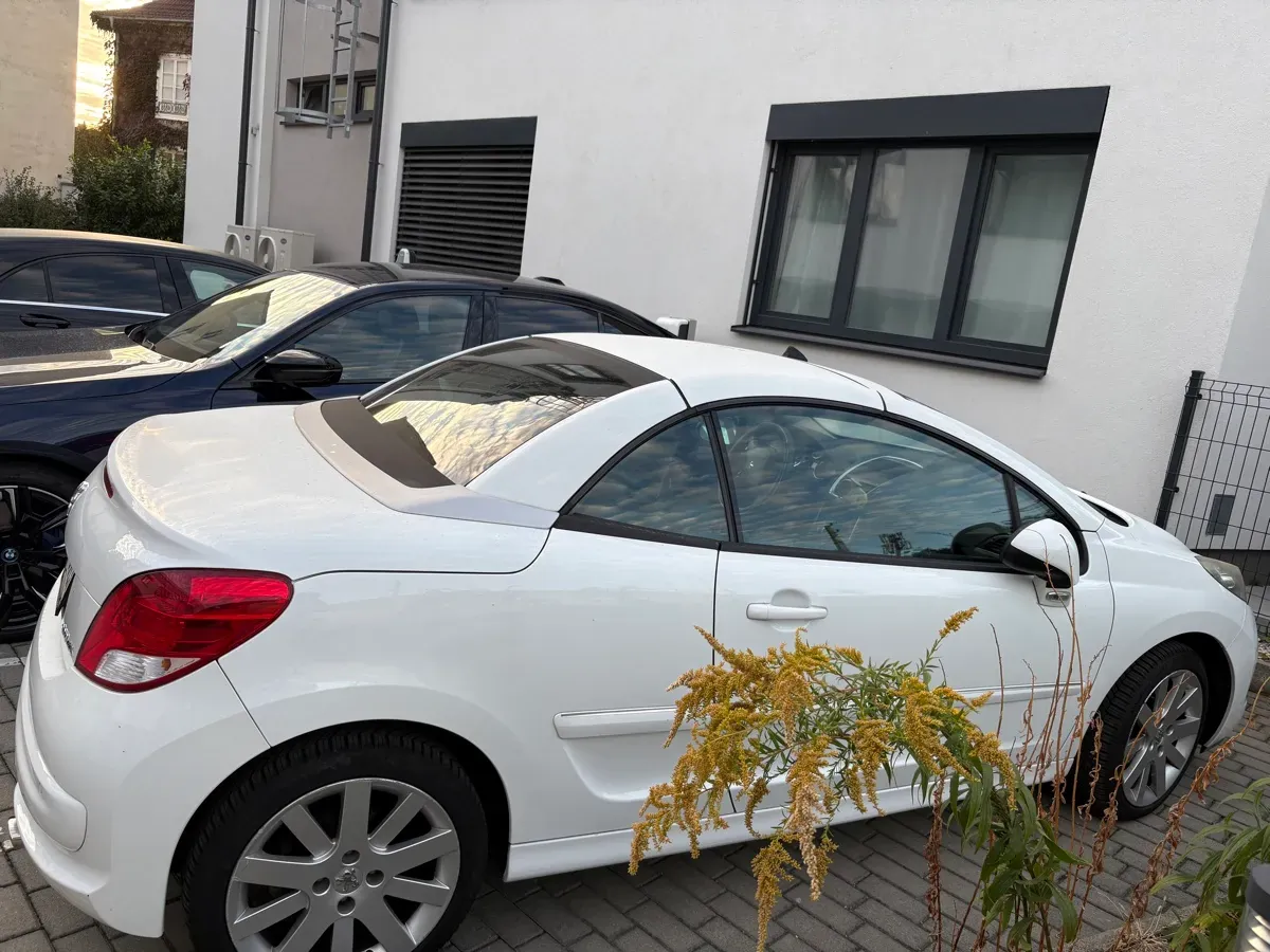 Peugeot 207 2010 photo 3