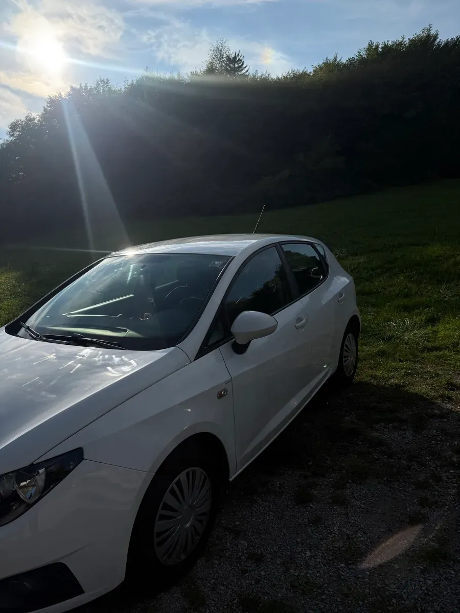 Seat Ibiza 2009 photo 2