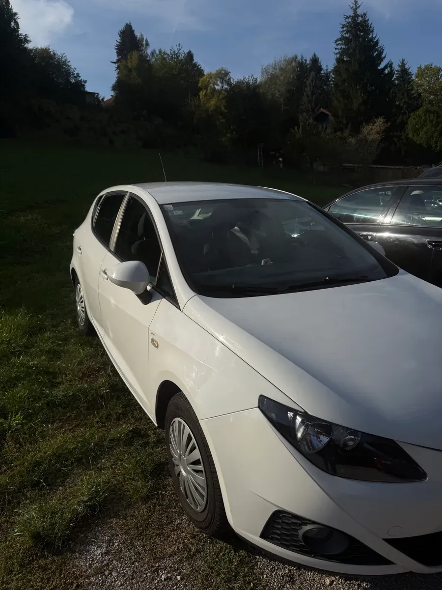 Seat Ibiza 2009 photo 3