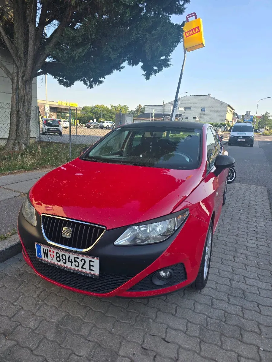 Seat Ibiza 2009 photo 2