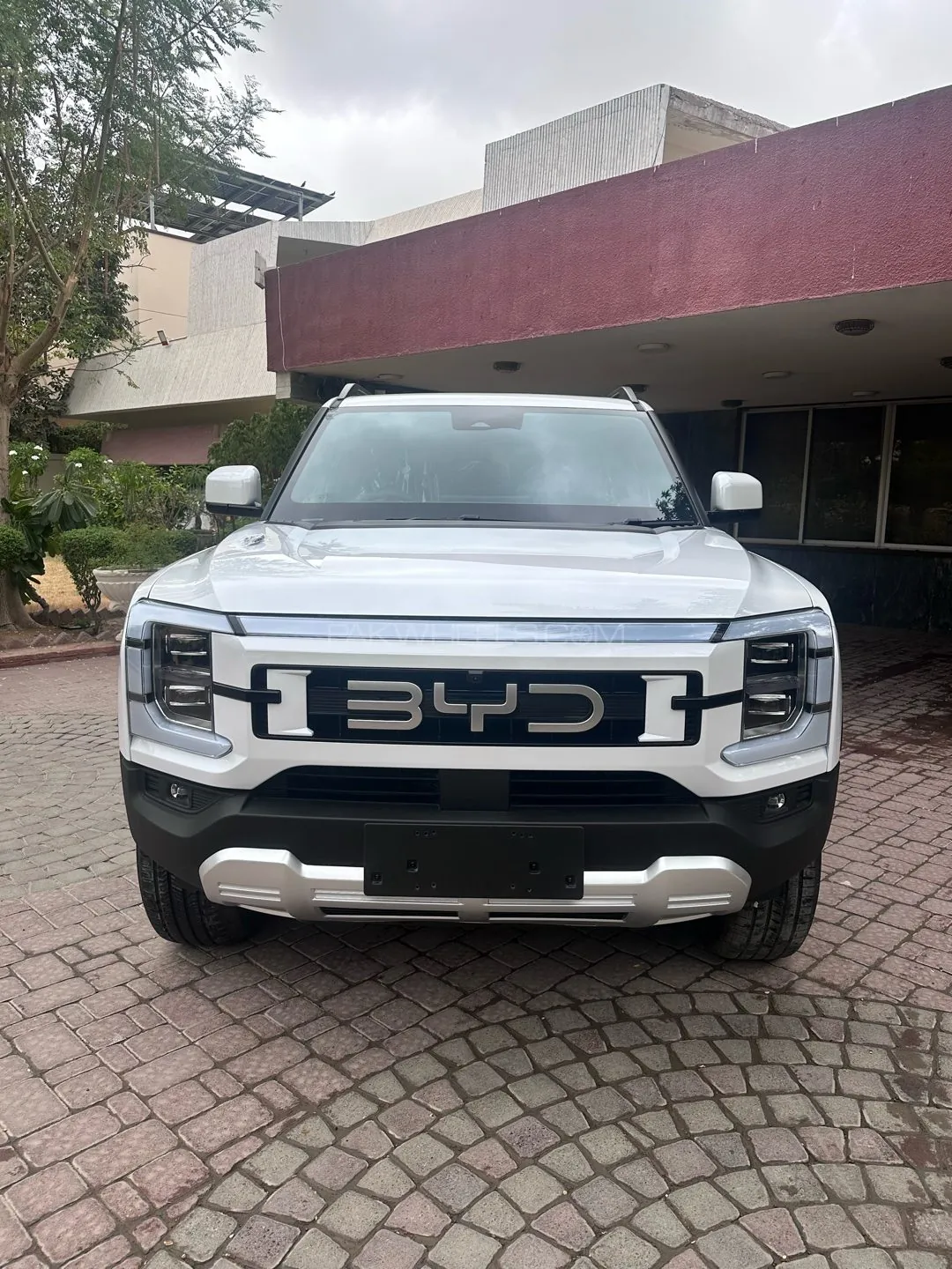 BYD Shark 6
