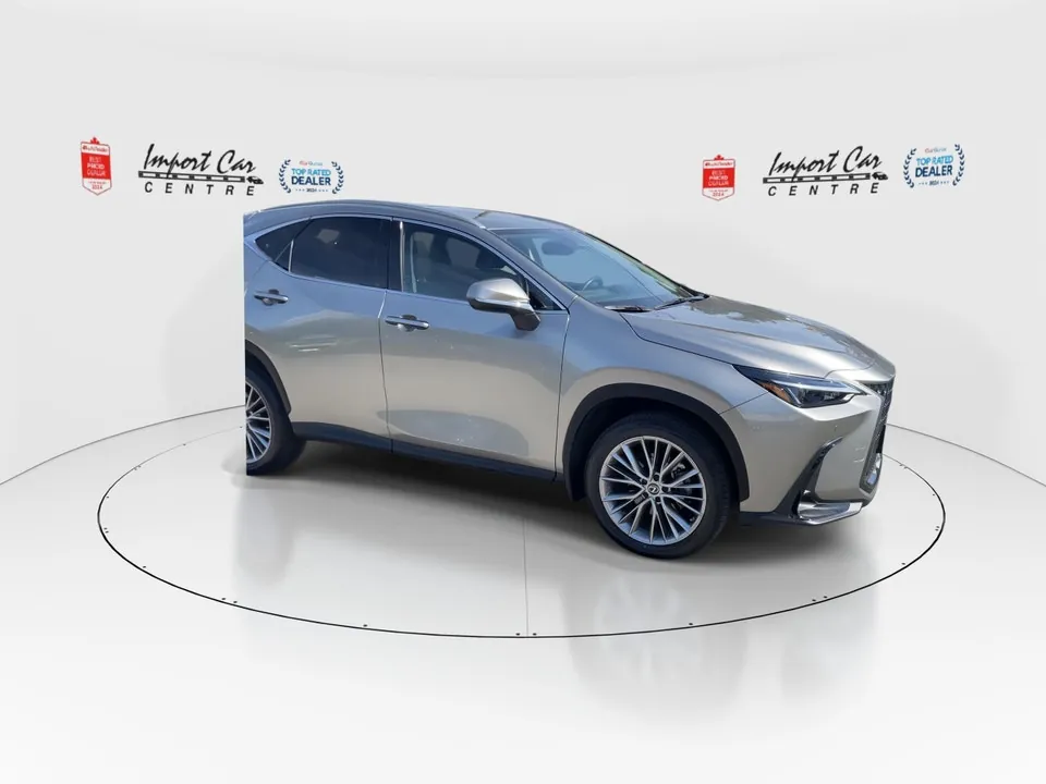 Lexus Nx 350 2023 photo 2
