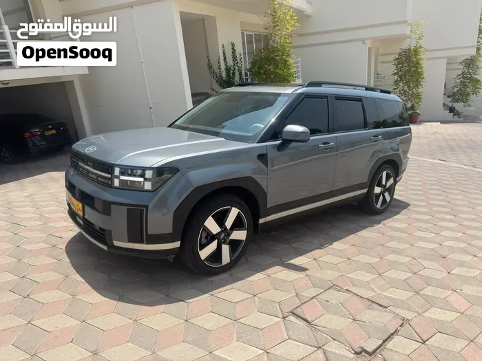Hyundai Santa Fe 2024 photo 2
