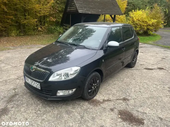 Skoda Fabia 2012 photo 2