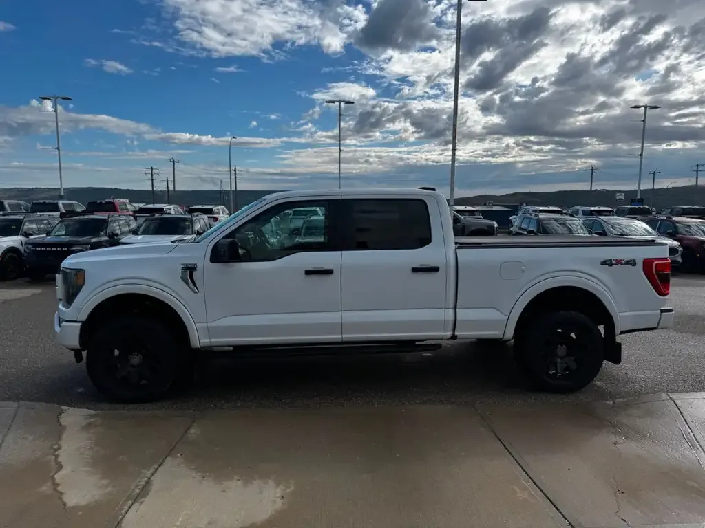 Ford F-150 2023 photo 4