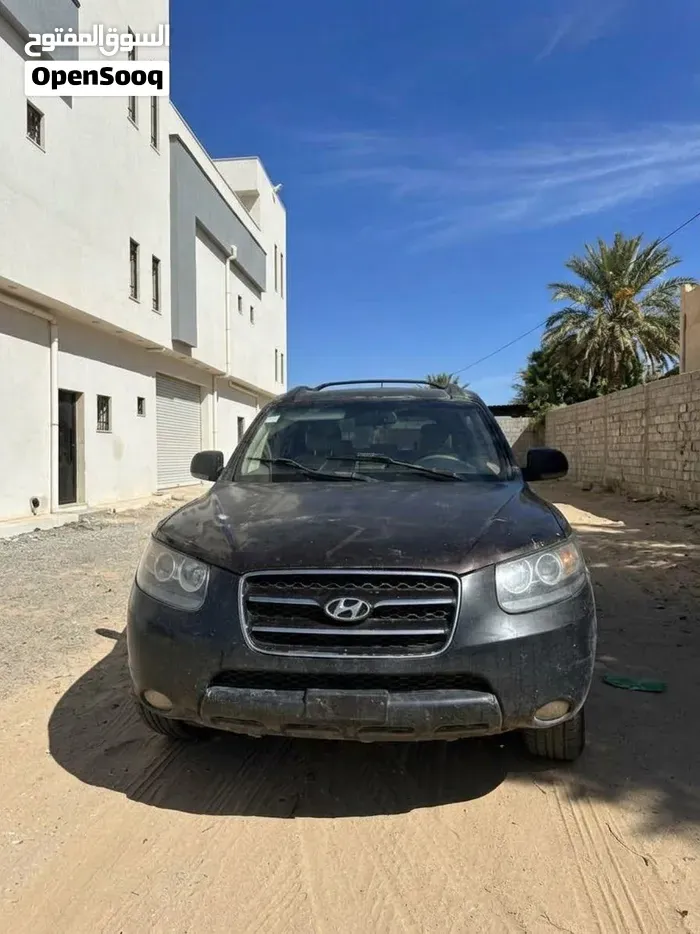 Hyundai Santa Fe 2008 photo 5