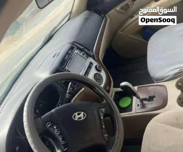 Hyundai Santa Fe 2008 photo 2