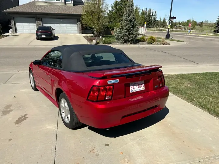 Ford Mustang 2001 photo 2
