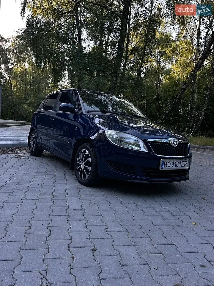 Skoda Fabia 2011 photo 2