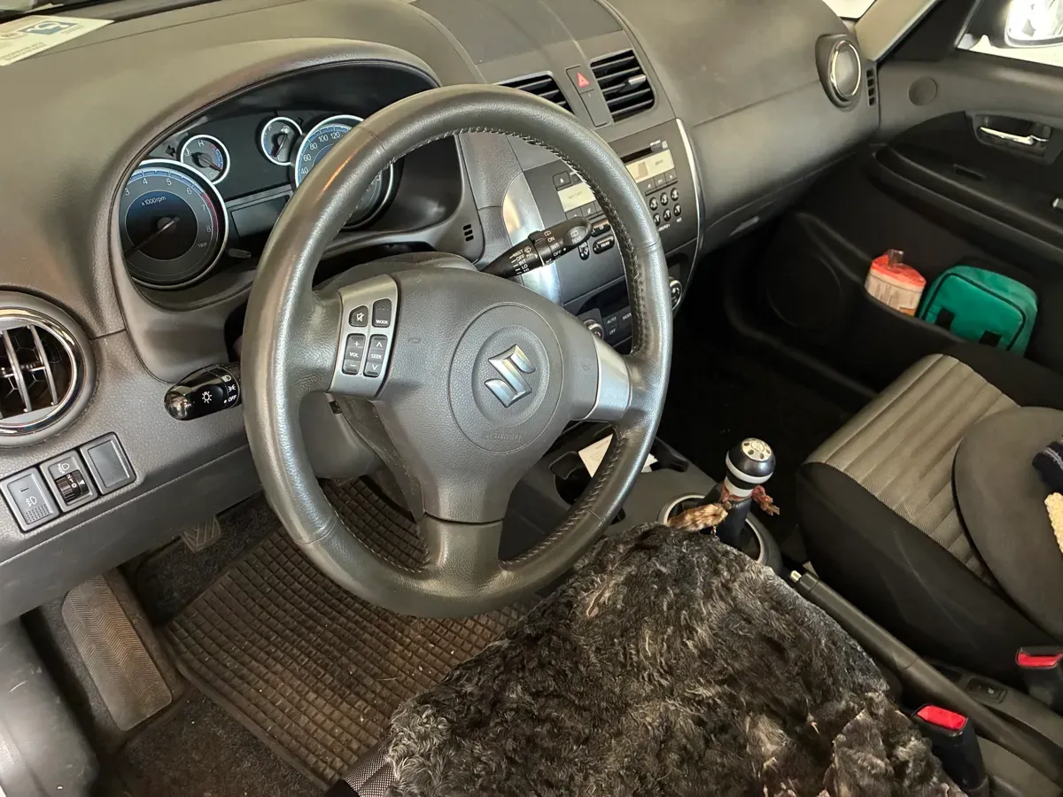 Suzuki Sx4 2009 photo 2