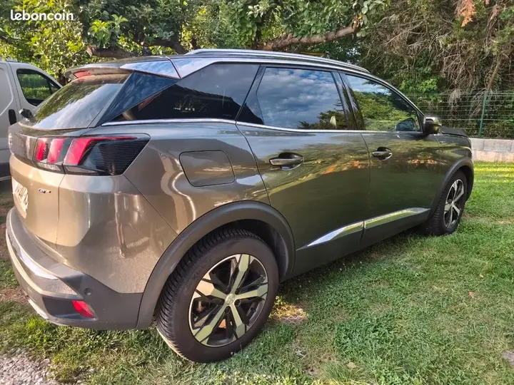 Peugeot 3008 2019 photo 3