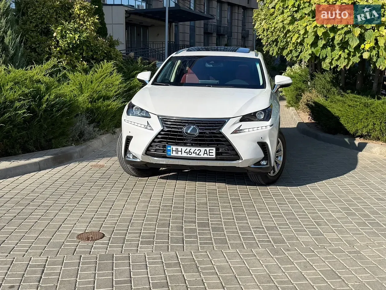 Lexus Nx 2021 photo 3