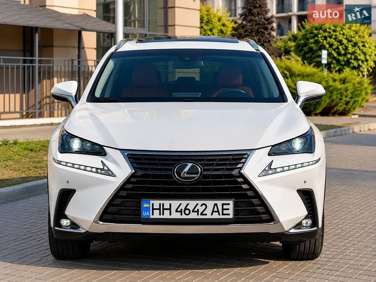 Lexus Nx 2021 photo 5