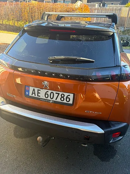 Peugeot 2008 2020 photo 2