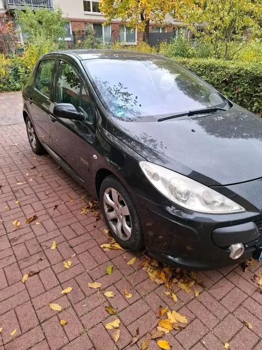 Peugeot 307