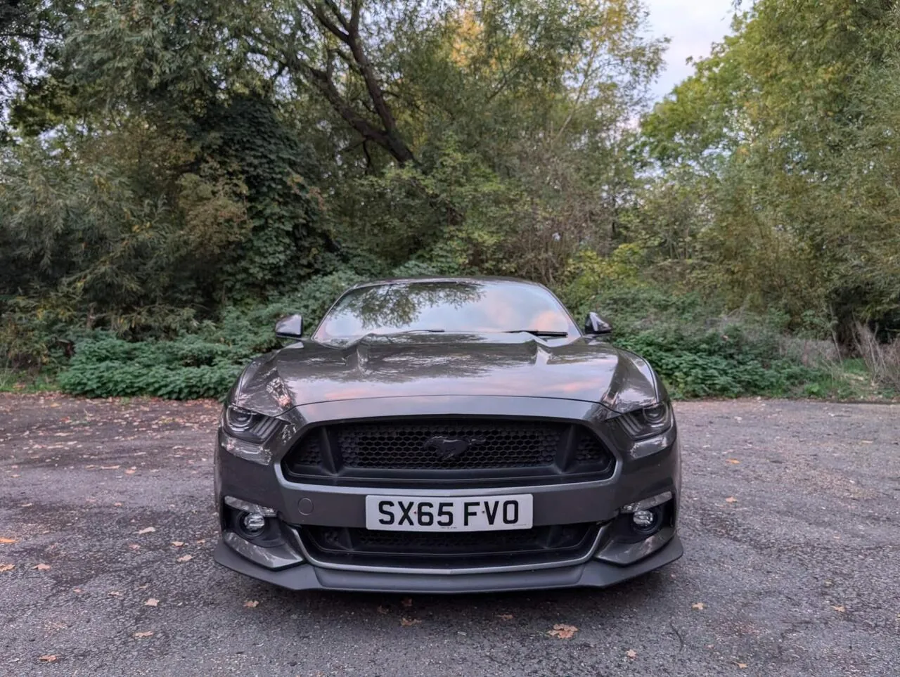 Ford Mustang 2016 photo 4
