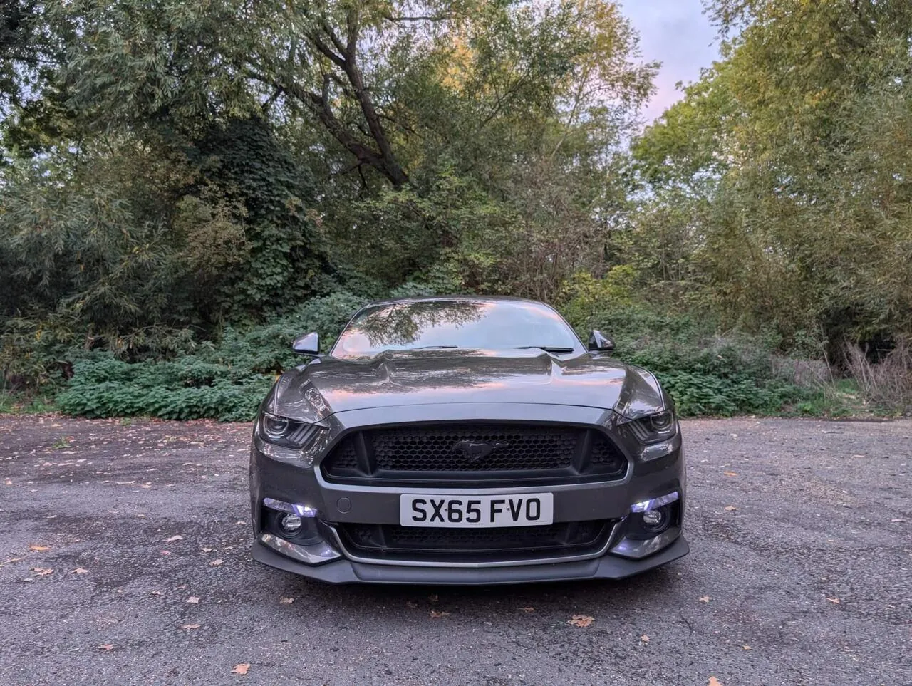 Ford Mustang 2016 photo 3