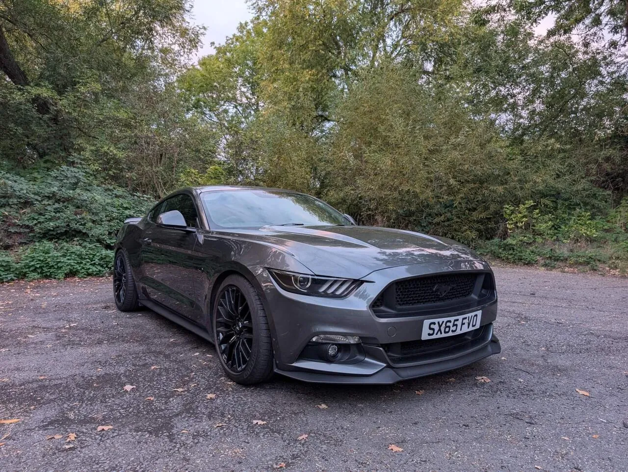Ford Mustang 2016 photo 2