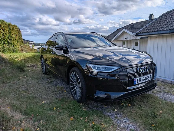 Audi E-Tron 2020 photo 3