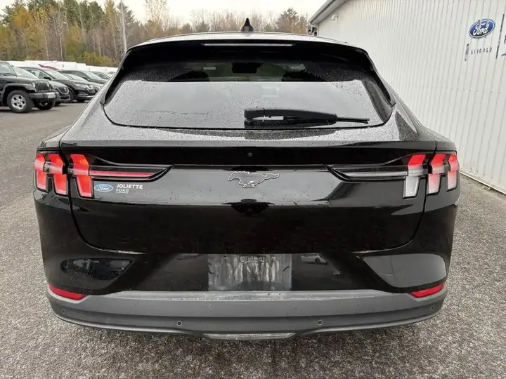 Ford Mustang Mach-E 2021 photo 5