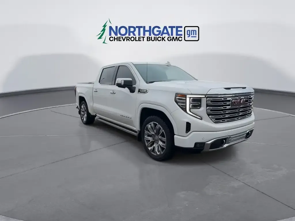 GMC Sierra 1500 2024 photo 2