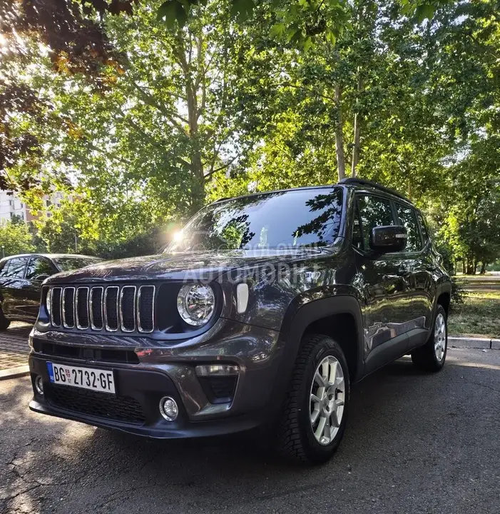 Jeep Renegade 2019 photo 3