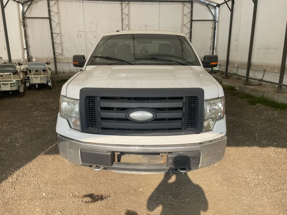 Ford F-150 2014 photo 4