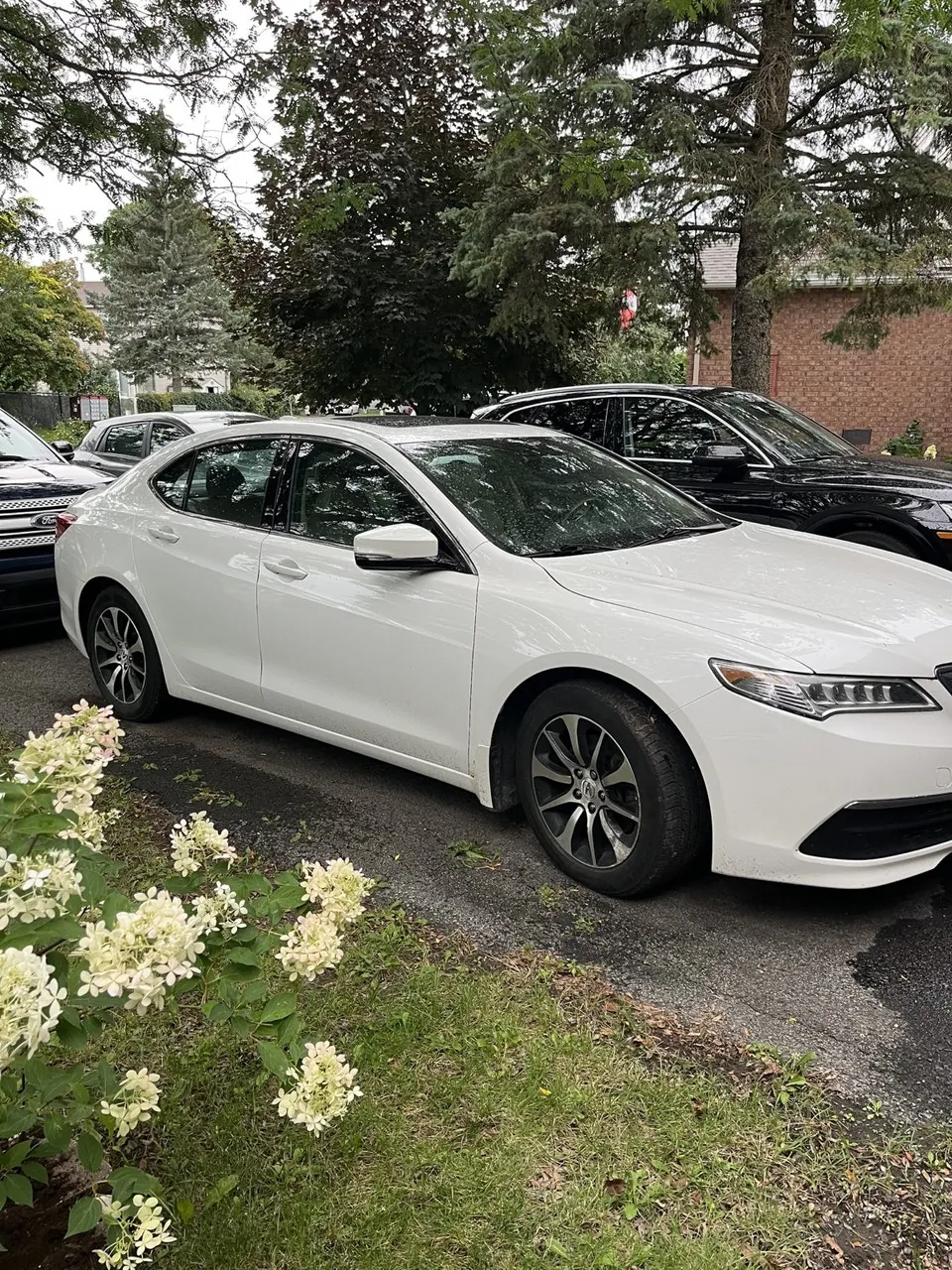 Acura Tlx 2016 photo 4