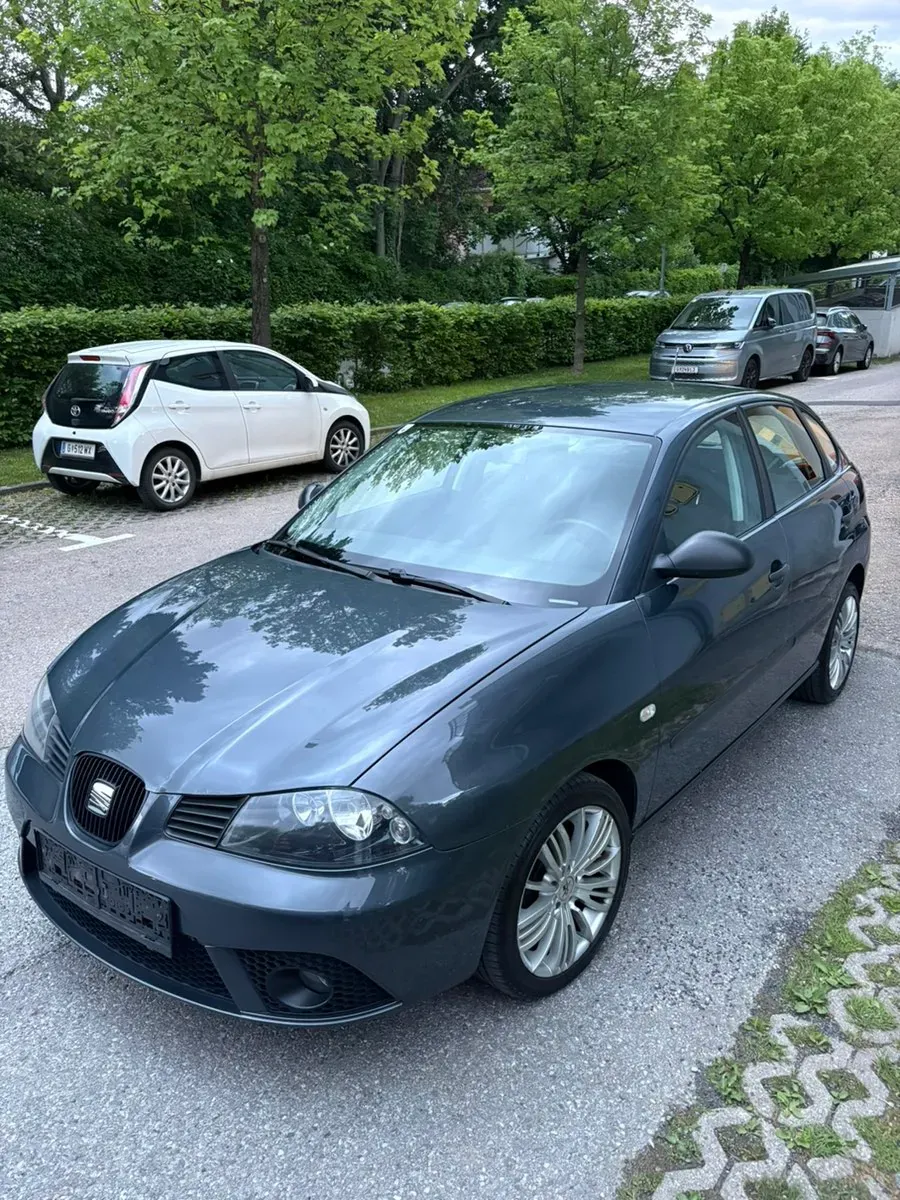 Seat Ibiza 2006 photo 3