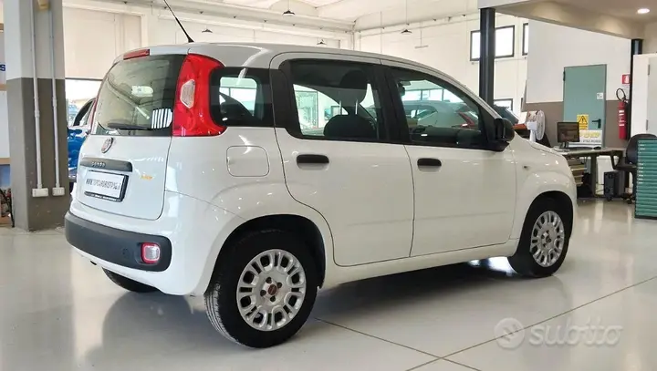 Fiat Panda 2017 photo 3