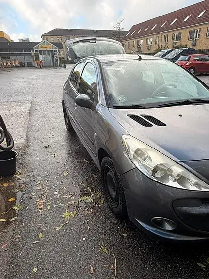 Peugeot 206 2010 photo 2